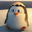 :hello: