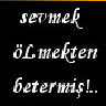tarkan46